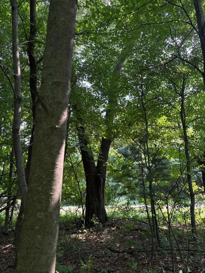 TBD 366th St, North Branch, MN 55056