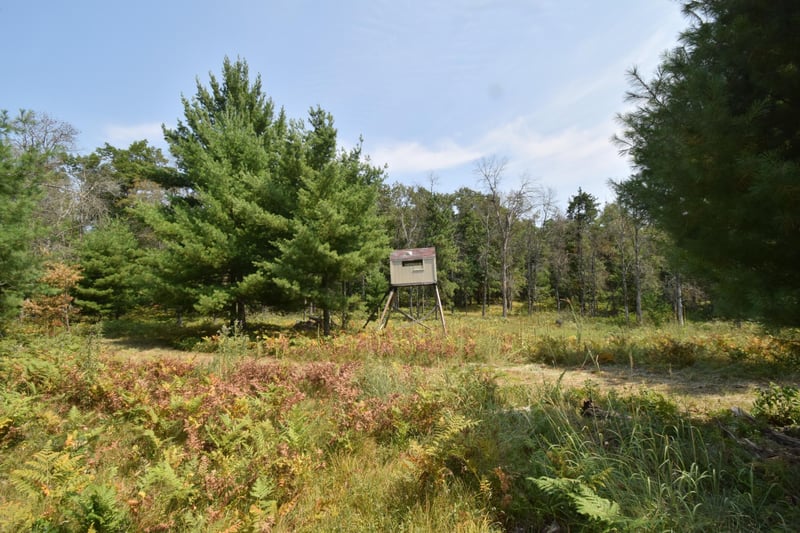 Lot 1 Pleasant Acres Trl, Danbury, WI 54830