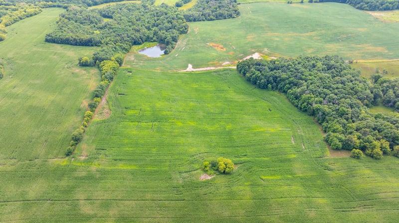 XX 190th St, Centuria, WI 54024