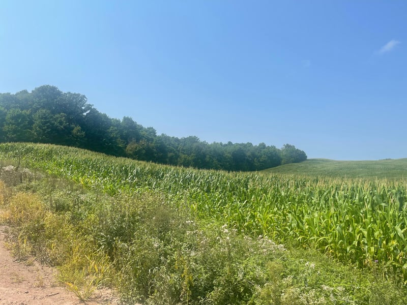 XX 190th St, Centuria, WI 54024
