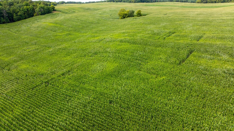XX 190th St, Centuria, WI 54024