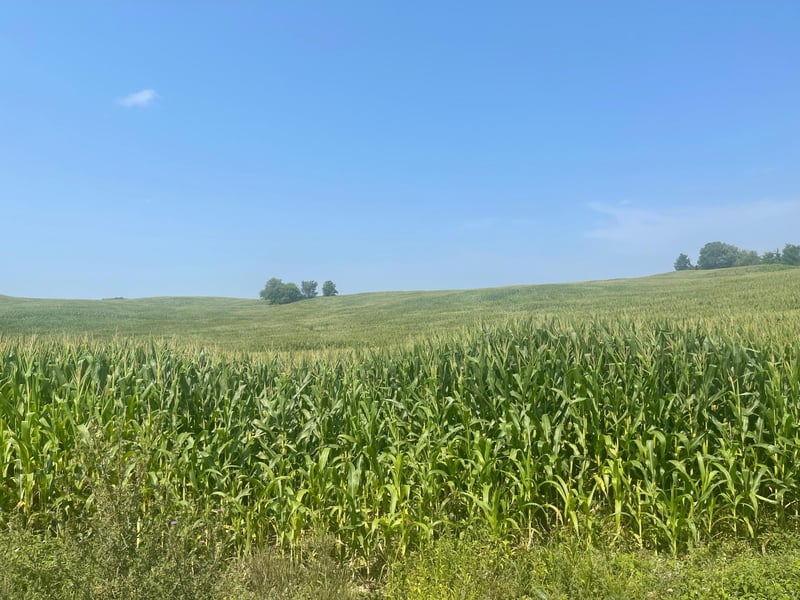 XX 190th St, Centuria, WI 54024