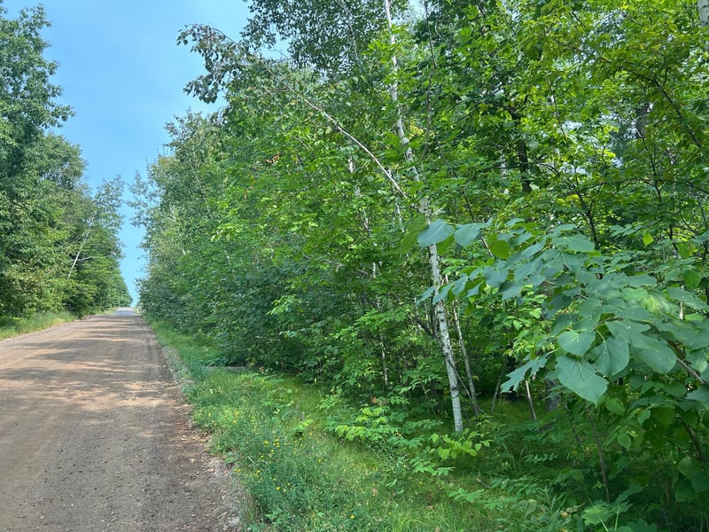 TBD Central St, Garrison, MN 56450
