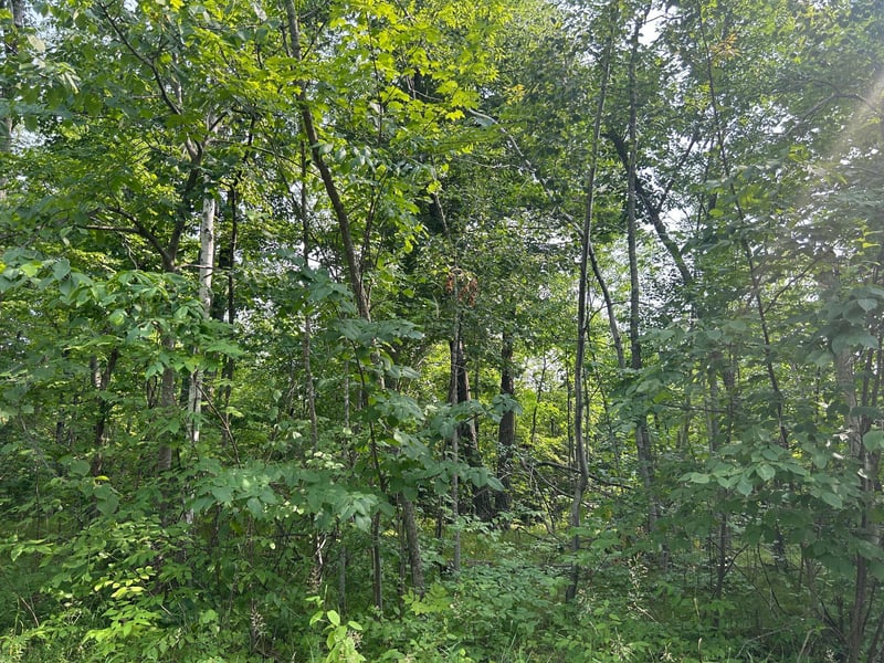 TBD Central St, Garrison, MN 56450