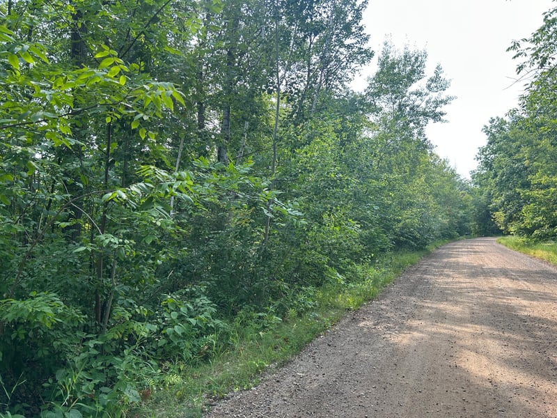 TBD Central St, Garrison, MN 56450