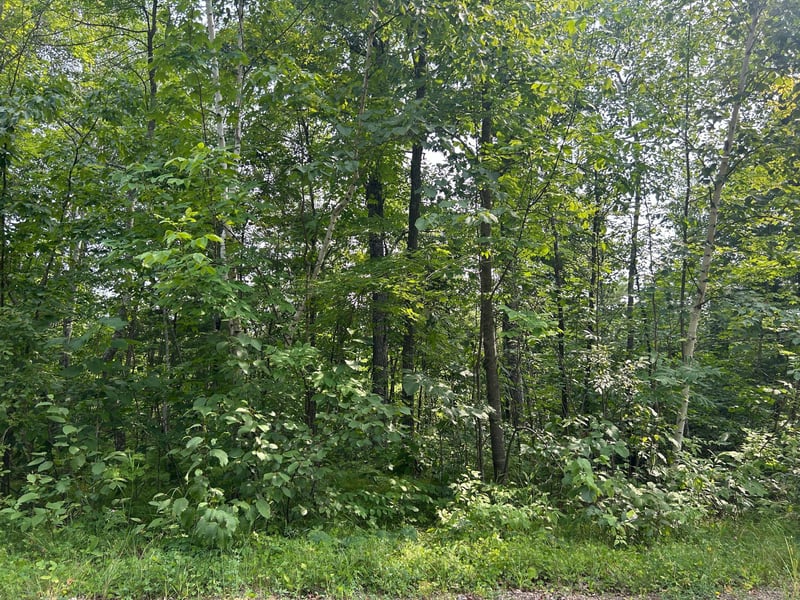 TBD Central St, Garrison, MN 56450