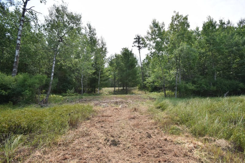 Lot 4 South Point Trl, Danbury, WI 54830