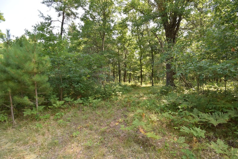 Lot 5 South Point Trl, Danbury, WI 54830
