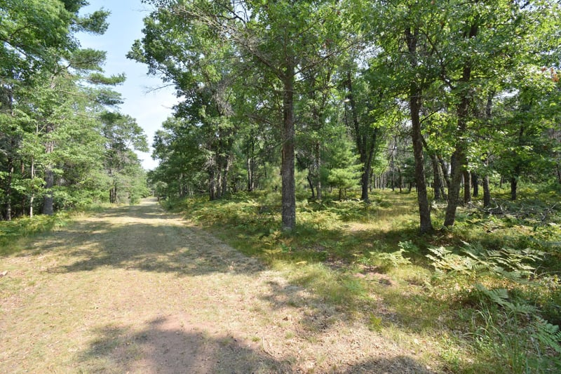 Lot 5 South Point Trl, Danbury, WI 54830