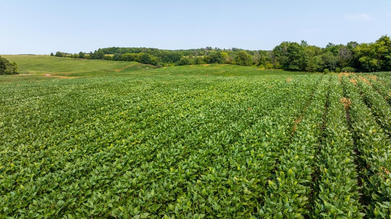 XXXX 190th St, Centuria, WI 54824