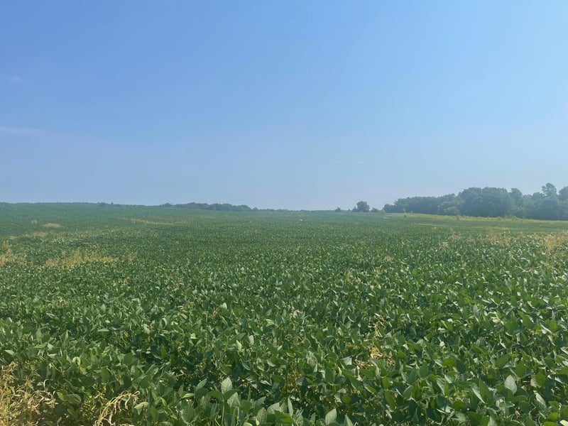 XXXX 190th St, Centuria, WI 54824