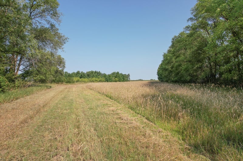 6170x River Rd Se, Clear Lake, MN 55319