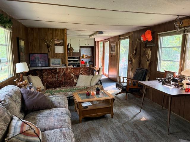 TBD County Road 116, Merrifield, MN 56465