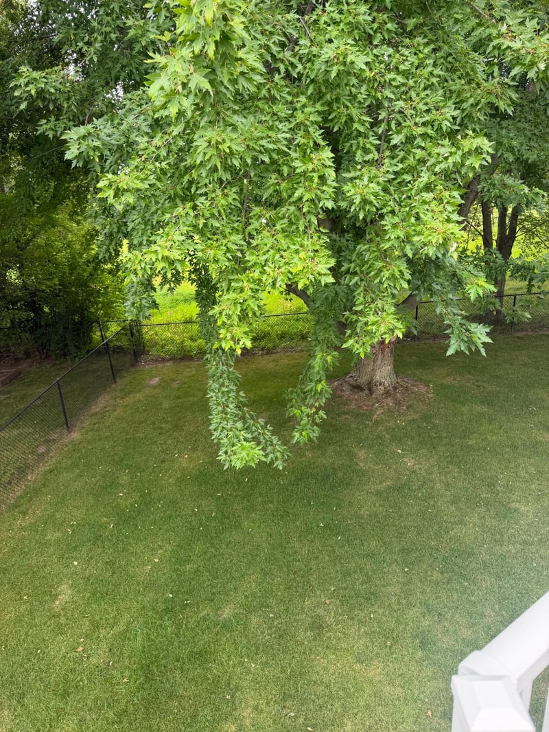 3514 42nd St NW, Rochester, MN 55901