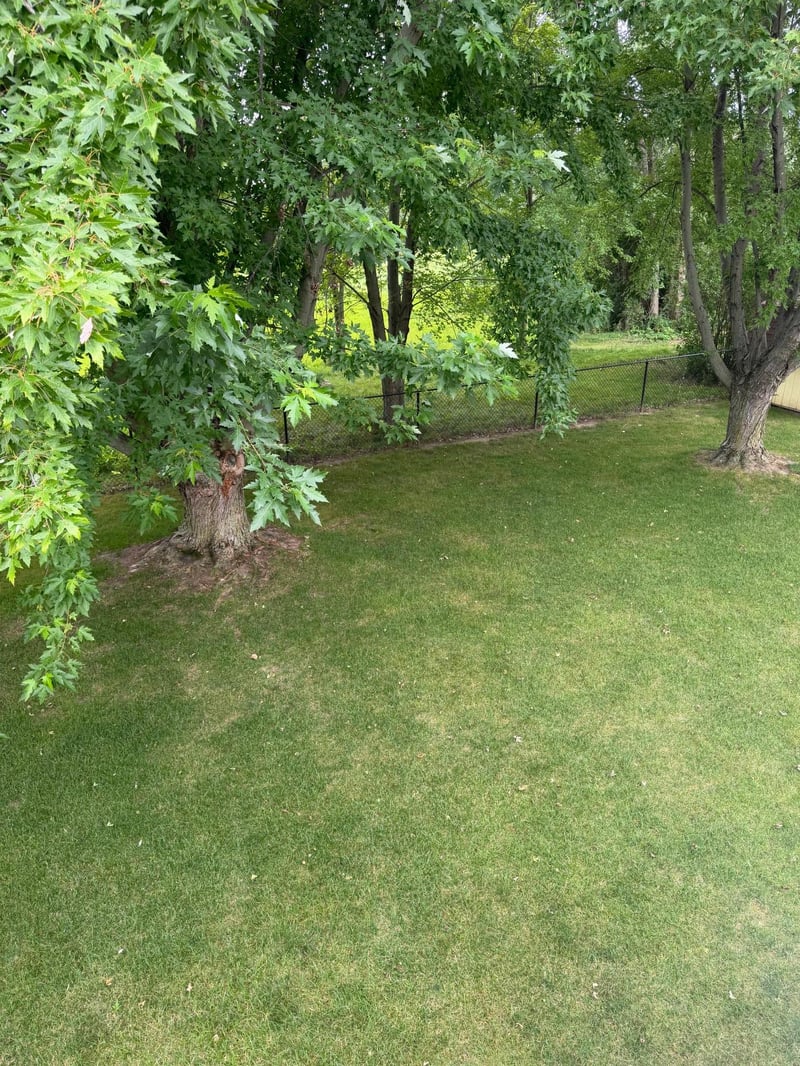 3514 42nd St NW, Rochester, MN 55901