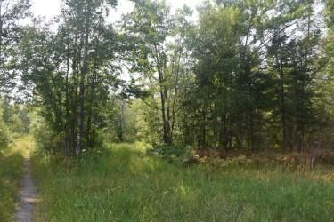 15690 330th St, Mcgregor, MN 55760