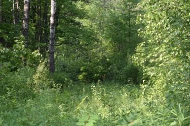 15690 330th St, Mcgregor, MN 55760