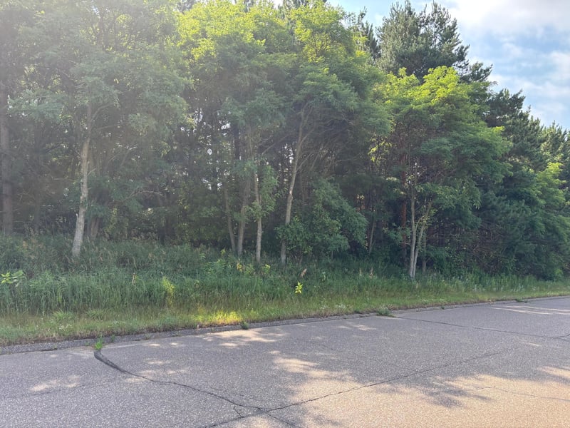 TBD 227th Ln NE, East Bethel, MN 55005