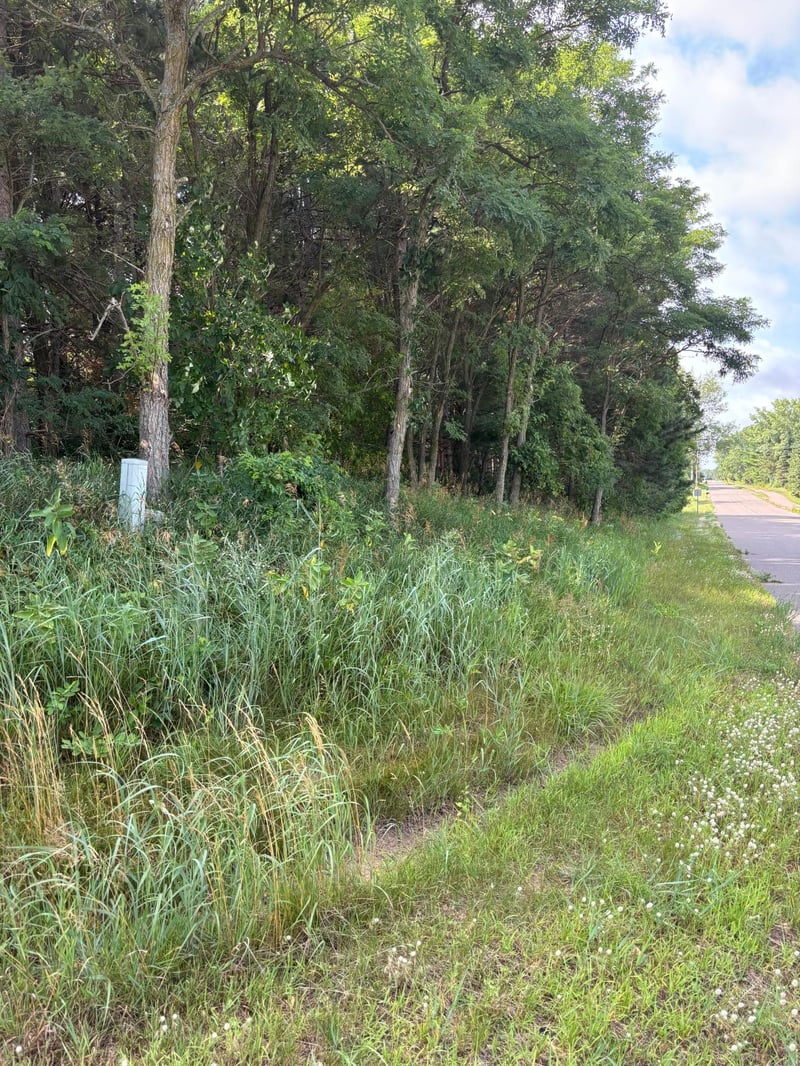 TBD 227th Ln NE, East Bethel, MN 55005