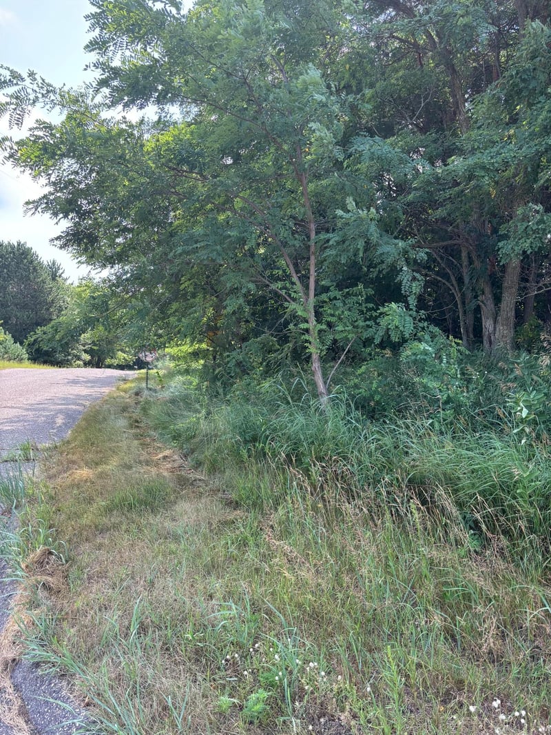TBD 227th Ln NE, East Bethel, MN 55005