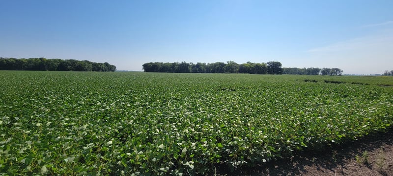0 Rural, Oslo, MN 56744