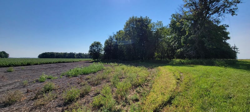 0 Rural, Oslo, MN 56744