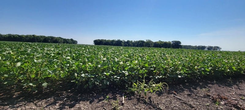 0 Rural, Oslo, MN 56744