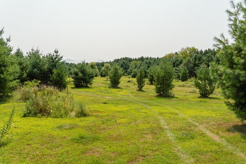 0 County Rd N, Pepin, WI 54759