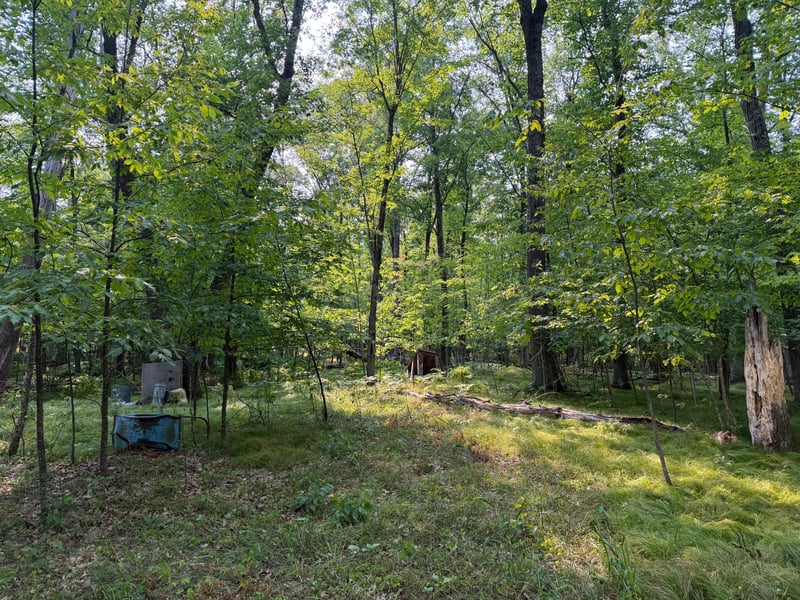 81871 Schoumaker Rd, Willow River, MN 55795