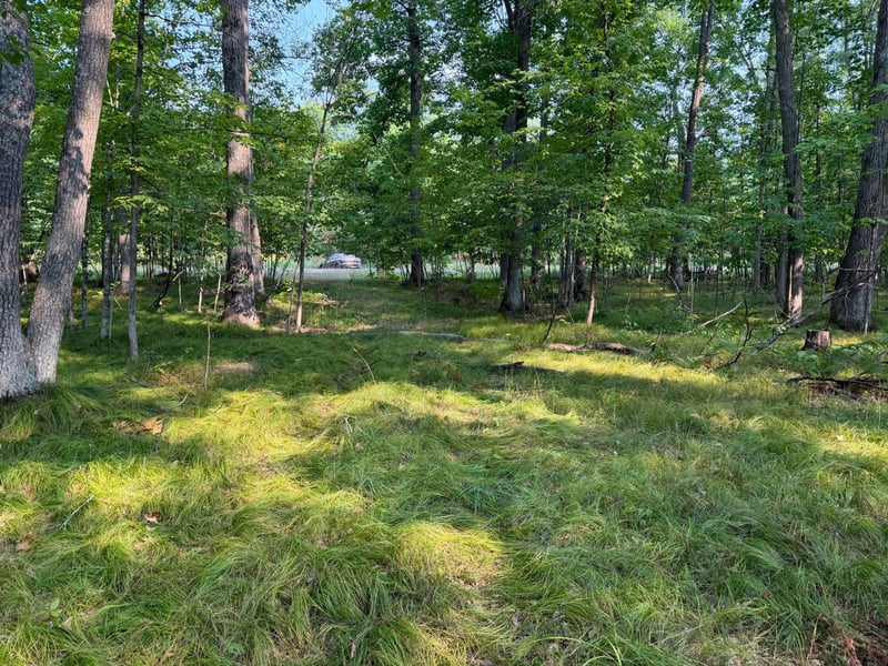 81871 Schoumaker Rd, Willow River, MN 55795