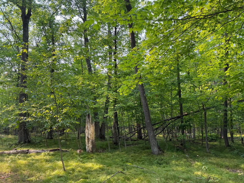 81871 Schoumaker Rd, Willow River, MN 55795