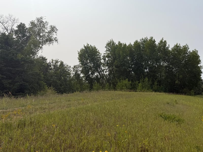 TBD Del's Ct NE, Bemidji, MN 56601