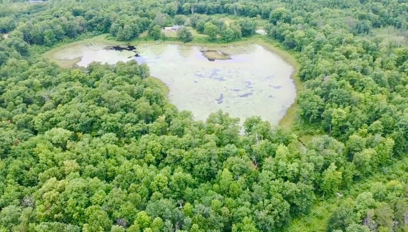 xxxx State Highway 84, Longville, MN 56655
