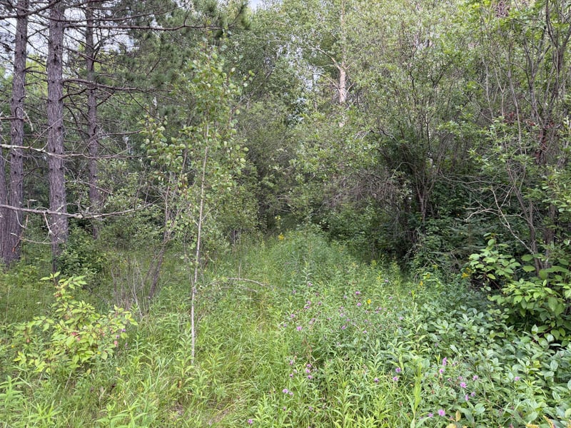 4788 Town Rd, Ray, MN 56669