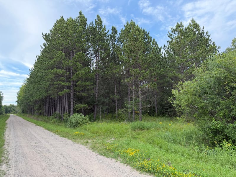 4788 Town Rd, Ray, MN 56669