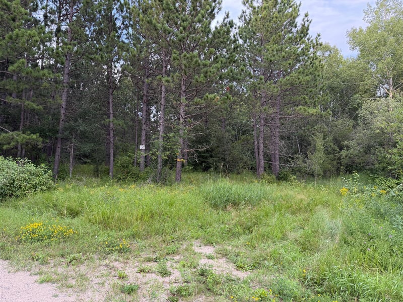 4788 Town Rd, Ray, MN 56669