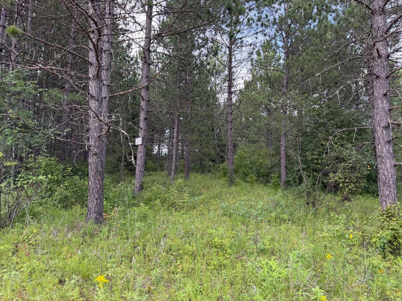 4788 Town Rd, Ray, MN 56669