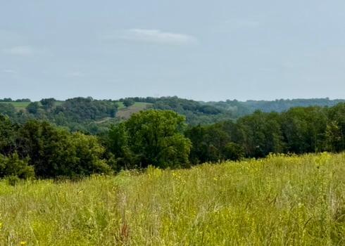 15XXX Welch Short Cut Pa, Welch, MN 55089