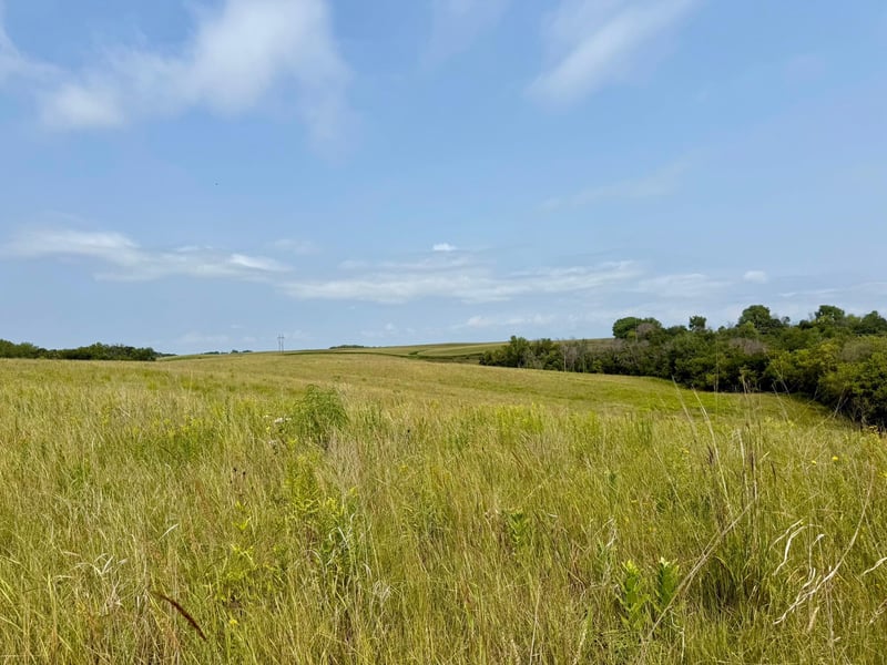 15XXX Welch Short Cut Pa, Welch, MN 55089