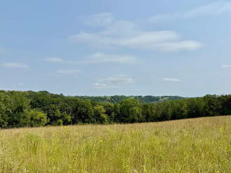 15XXX Welch Short Cut Pa, Welch, MN 55089