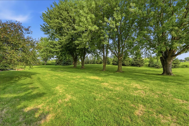 7520 County Road 9 NE, Willmar, MN 56201