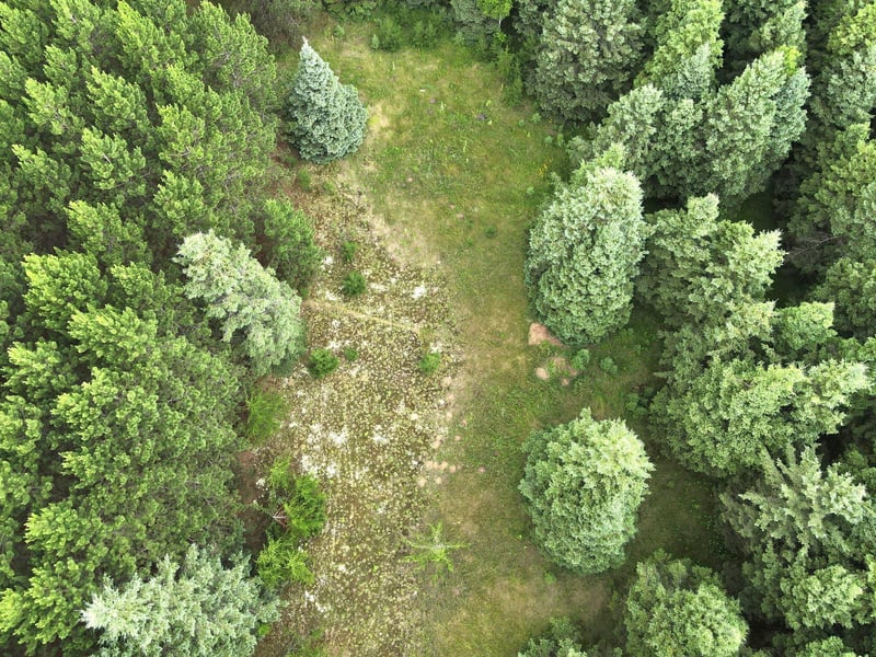 TBD- Parcel C Sleepy Hollow Rd, Brainerd, MN 56401