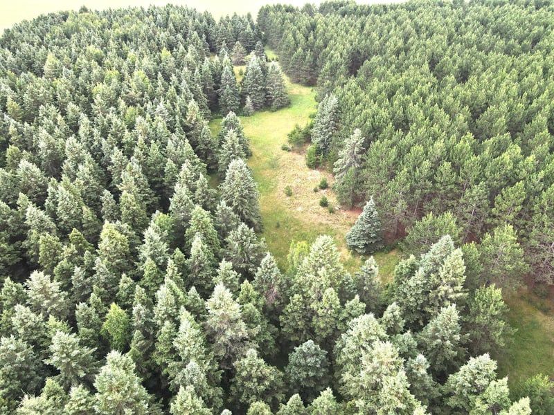 TBD- Parcel C Sleepy Hollow Rd, Brainerd, MN 56401