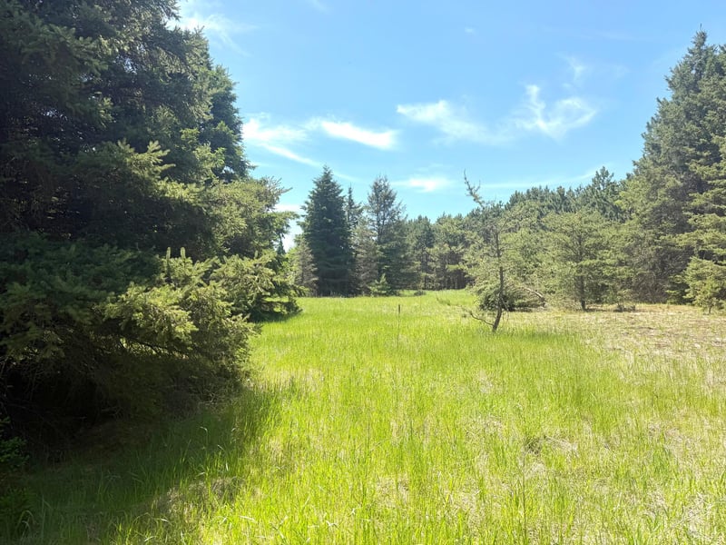 TBD- Parcel C Sleepy Hollow Rd, Brainerd, MN 56401