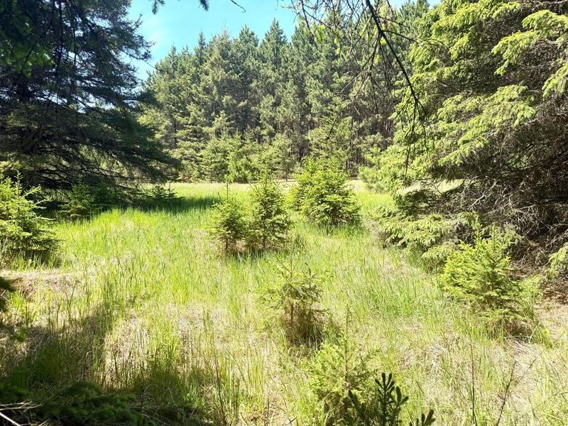 TBD- Parcel C Sleepy Hollow Rd, Brainerd, MN 56401