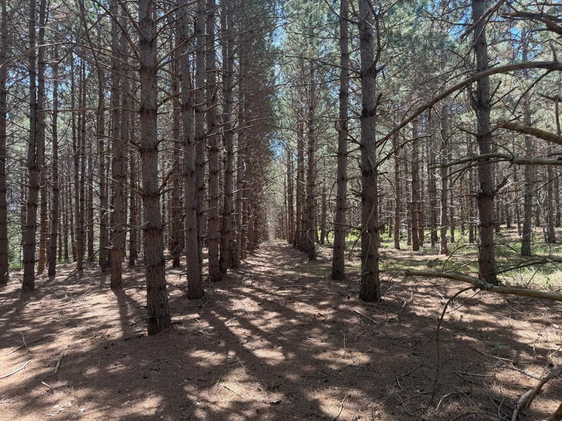 TBD- Parcel C Sleepy Hollow Rd, Brainerd, MN 56401