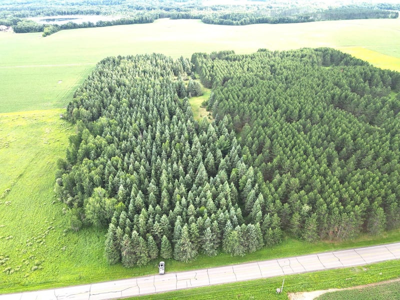 TBD- Parcel D Sleepy Hollow Rd, Brainerd, MN 56401