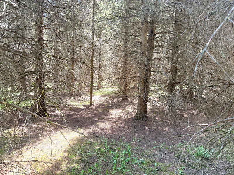 TBD- Parcel D Sleepy Hollow Rd, Brainerd, MN 56401