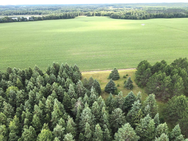 TBD- Parcel D Sleepy Hollow Rd, Brainerd, MN 56401