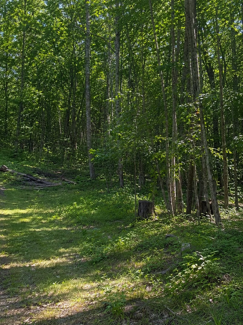 TBD Birchcurve Rd, Randall, MN 56475